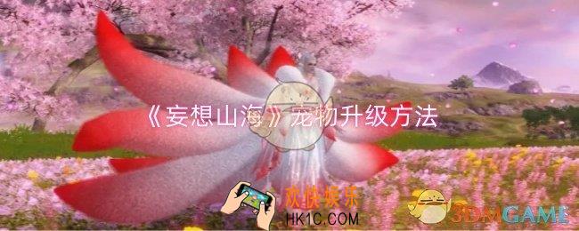 妄想山海宠物怎么升级