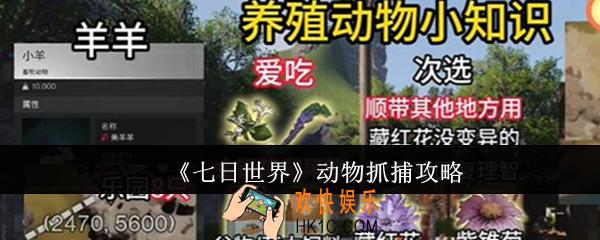 七日世界动物怎么抓捕