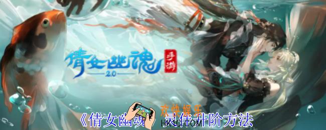 倩女幽魂灵伴怎么升阶