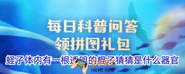 蛏子体内有一根透明的棍子猜猜是什么器官