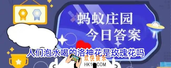 人们泡水喝的洛神花是玫瑰花吗