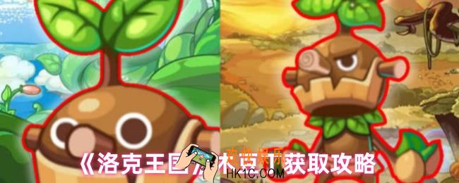 洛克王国木豆丁在哪里捕捉