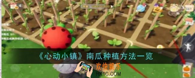 心动小镇南瓜种植方法是什么