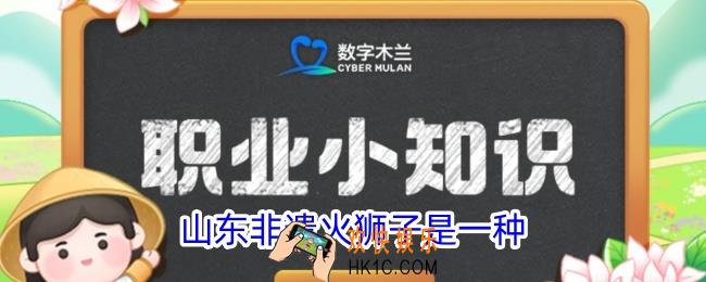山东非遗火狮子是一种
