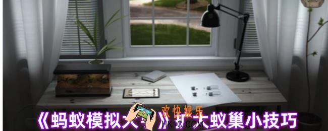 蚂蚁模拟大亨怎么扩大蚁巢