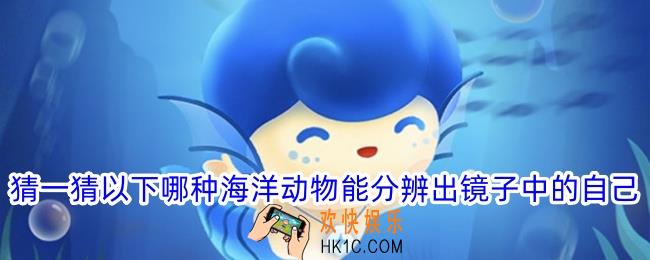 猜一猜以下哪种海洋动物能分辨出镜子中的自己