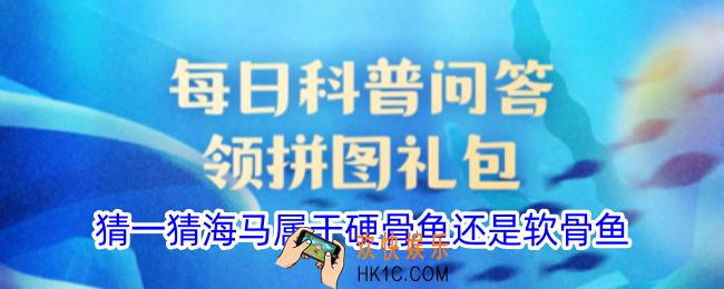 猜一猜海马属于硬骨鱼还是软骨鱼