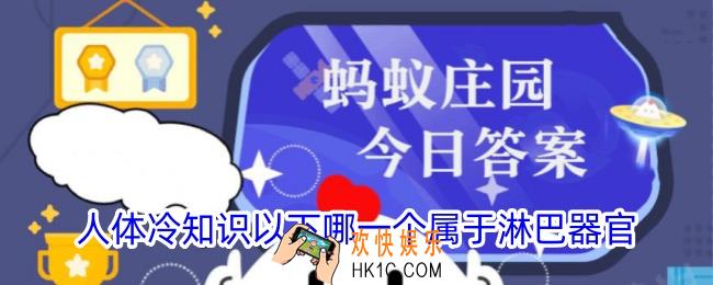 人体冷知识以下哪一个属于淋巴器官