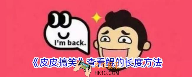 皮皮搞笑怎么看鲲的长度