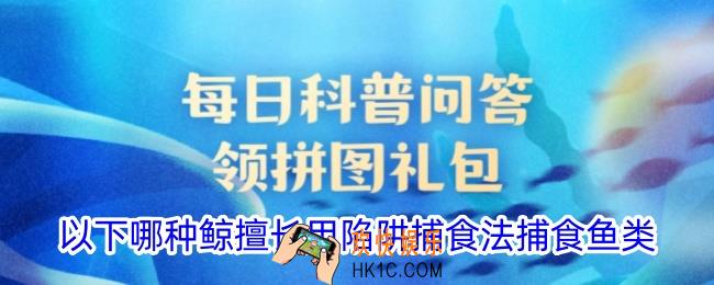 以下哪种鲸擅长用陷阱捕食法捕食鱼类