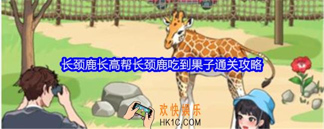 就我眼神好长颈鹿长高攻略