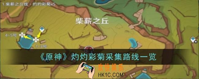 原神灼灼彩菊采集路线是什么