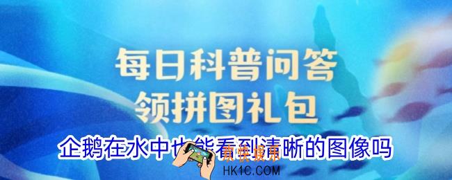 企鹅在水中也能看到清晰的图像吗