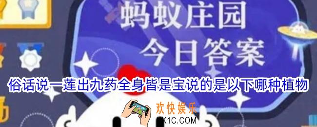 俗话说一莲出九药全身皆是宝说的是以下哪种植物