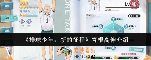 排球少年新的征程青根高伸怎么样