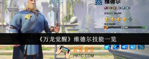 万龙觉醒维德尔技能是什么