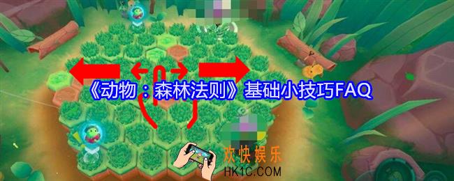 动物森林法则基础小技巧FAQ