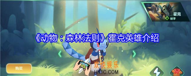 动物森林法则霍克怎么样