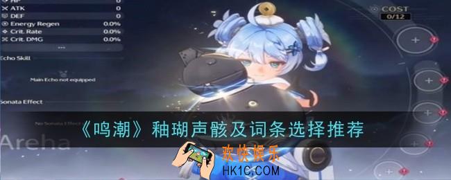 鸣潮釉瑚声骸及词条选择什么