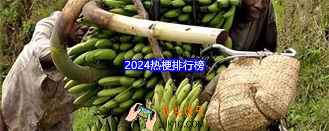 2024热梗词盘点
