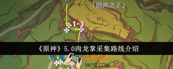 原神5.0肉龙掌采集路线是什么