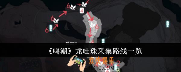 鸣潮龙吐珠采集路线是什么