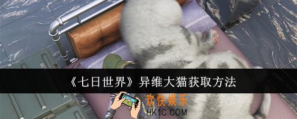 七日世界异维大猫怎么获取