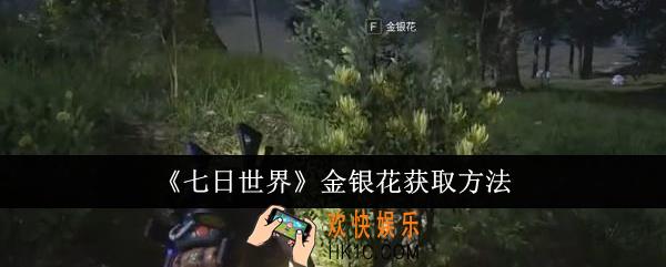七日世界金银花怎么获取