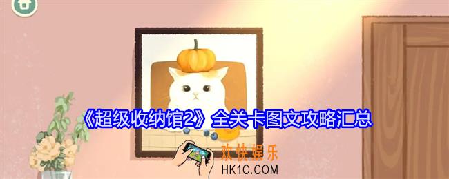 超级收纳馆2通关攻略