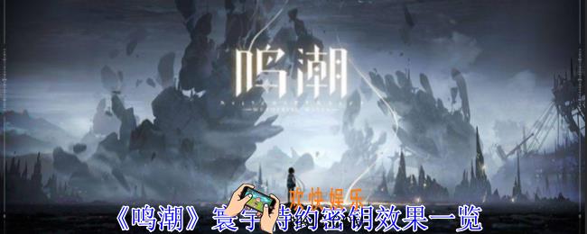 鸣潮寰宇特约密钥有什么用