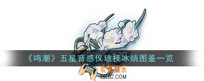 鸣潮五星音感仪琼枝冰绡怎么样