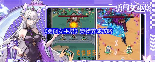 勇闯女巫塔宠物怎么选择培养