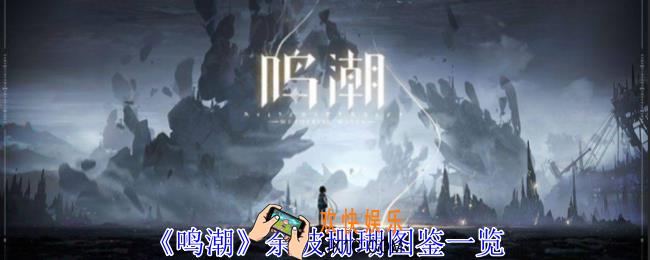 鸣潮余波珊瑚有什么用