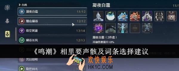 鸣潮相里要声骸及词条怎么选
