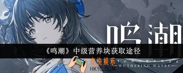 鸣潮中级营养块怎么获取