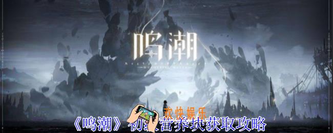 鸣潮初级营养块怎么获得