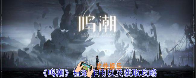 鸣潮植珀怎么获得
