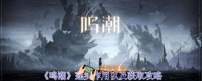 鸣潮莲实有什么用