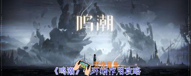 鸣潮银环蜥有什么用