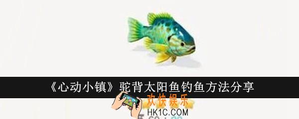 心动小镇驼背太阳鱼怎么钓