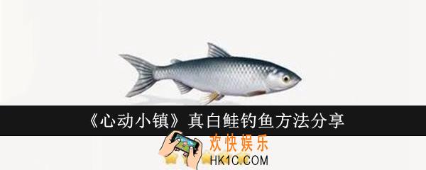 心动小镇真白鲑怎么钓