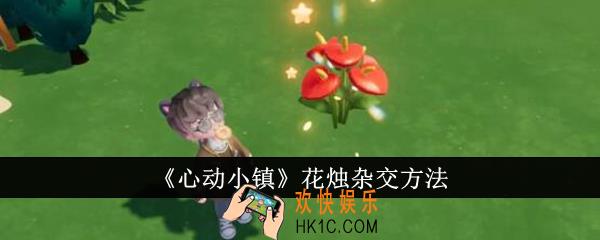 心动小镇花烛怎么杂交