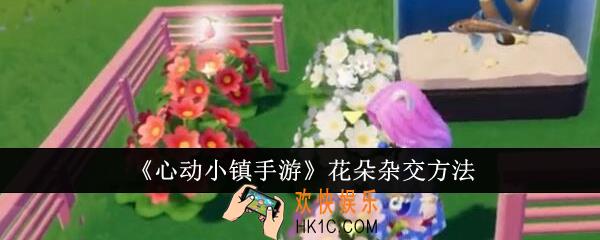 心动小镇手游花朵怎么杂交