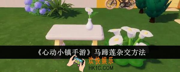 心动小镇手游马蹄莲怎么杂交