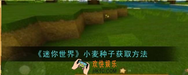 迷你世界小麦种子怎么获取