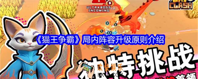 猫王争霸局内阵容升级原则介绍