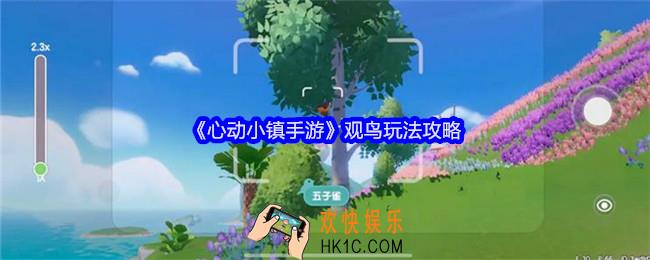 心动小镇手游怎么观鸟