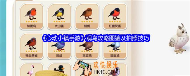 心动小镇手游观鸟攻略图鉴及拍照技巧