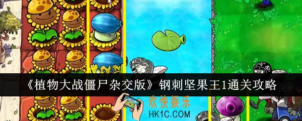 植物大战僵尸杂交版钢刺坚果王1怎么通关