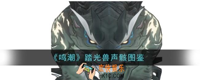 鸣潮踏光兽声骸怎么样